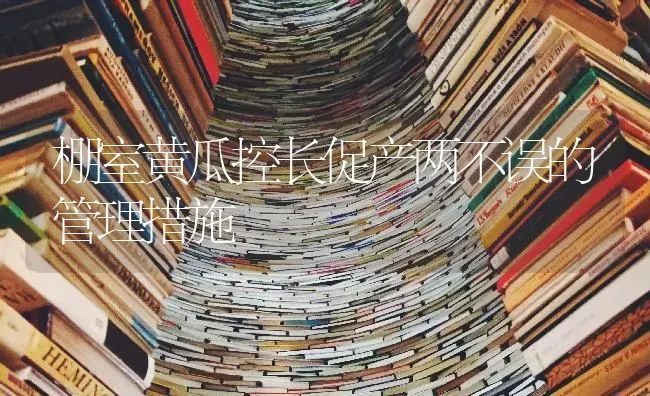 棚室黄瓜控长促产两不误的管理措施 | 蔬菜种植