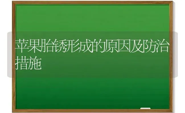 苹果胎锈形成的原因及防治措施 | 瓜果种植