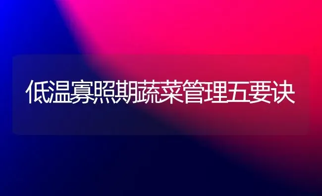 低温寡照期蔬菜管理五要诀 | 蔬菜种植