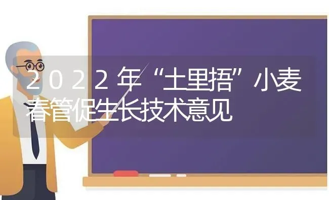 2022年“土里捂”小麦春管促生长技术意见 | 粮油作物种植