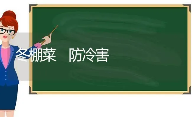 冬棚菜 防冷害 | 蔬菜种植