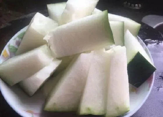 营养价值|冬瓜和什么不能一起吃 与什么食物同食相克