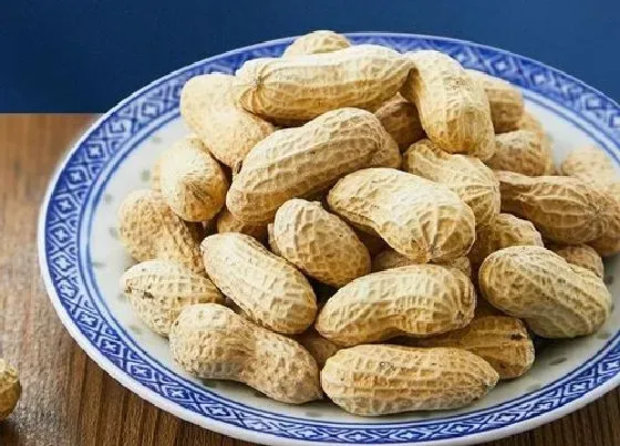 果实成熟|花生成熟的季节是几月