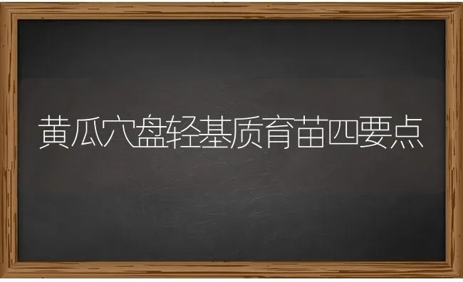 黄瓜穴盘轻基质育苗四要点 | 蔬菜种植