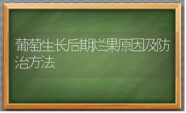 葡萄生长后期烂果原因及防治方法 | 瓜果种植