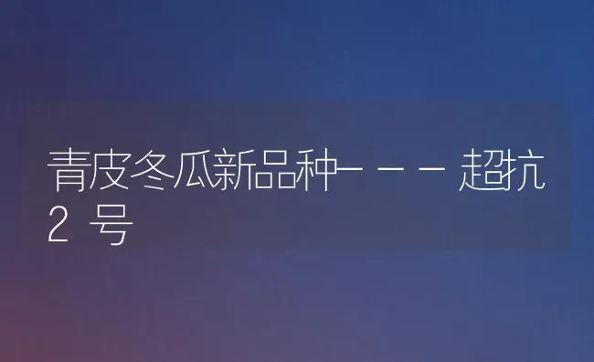 青皮冬瓜新品种---超抗2号 | 蔬菜种植