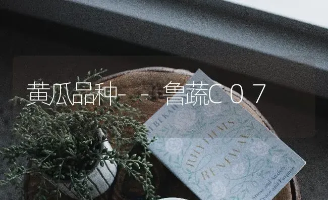 黄瓜品种--鲁蔬C07 | 蔬菜种植