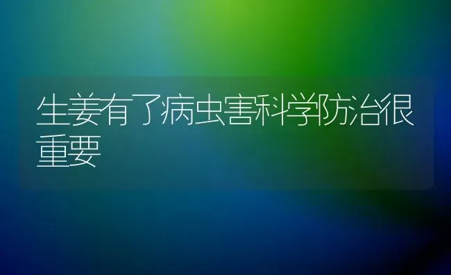 生姜有了病虫害科学防治很重要 | 种植病虫害防治