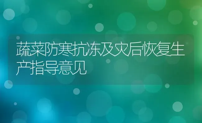 蔬菜防寒抗冻及灾后恢复生产指导意见 | 蔬菜种植