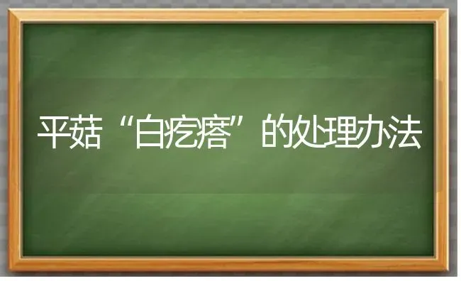 平菇“白疙瘩”的处理办法 | 食用菌种植