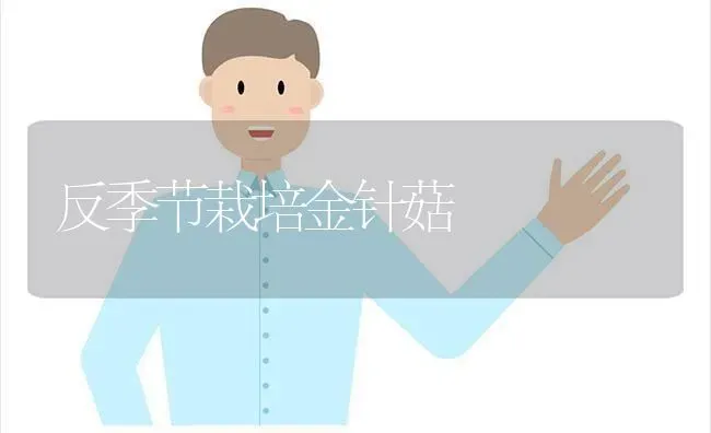 反季节栽培金针菇 | 食用菌种植