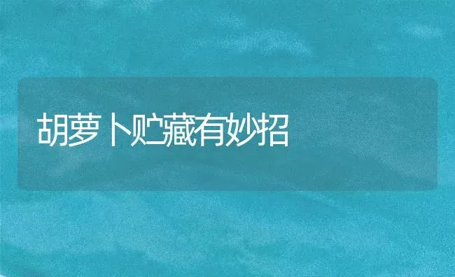 胡萝卜贮藏有妙招 | 蔬菜种植