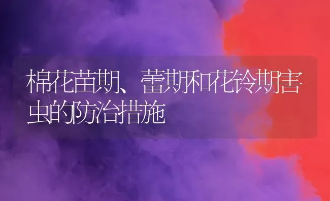 棉花苗期、蕾期和花铃期害虫的防治措施 | 粮油作物种植