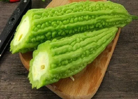 食用科普|苦瓜可以生吃吗