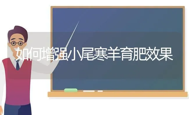 如何增强小尾寒羊育肥效果 | 瓜果种植