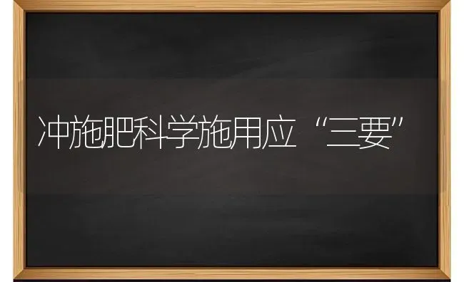 冲施肥科学施用应“三要” | 种植肥料施肥