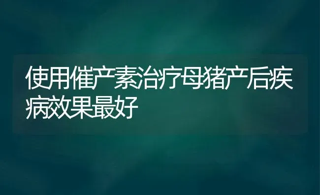 使用催产素治疗母猪产后疾病效果最好 | 瓜果种植