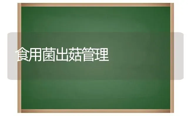 食用菌出菇管理 | 食用菌种植