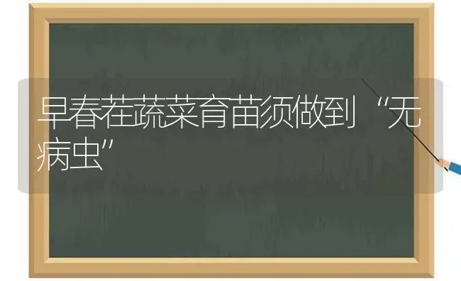 早春茬蔬菜育苗须做到“无病虫” | 蔬菜种植