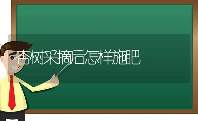 杏树采摘后怎样施肥 | 种植肥料施肥