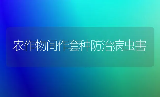 农作物间作套种防治病虫害 | 种植病虫害防治
