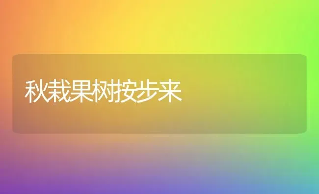 秋栽果树按步来 | 瓜果种植