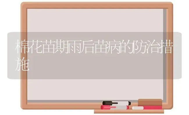 棉花苗期雨后苗病的防治措施 | 粮油作物种植