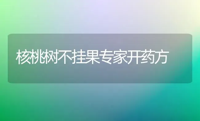 核桃树不挂果专家开药方 | 瓜果种植