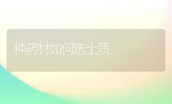 种药材如何选土质 | 药材种植