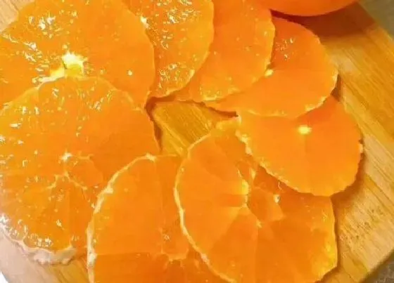 水果科普|爱媛38号果冻橙什么时候上市 爱媛果冻橙成熟时间