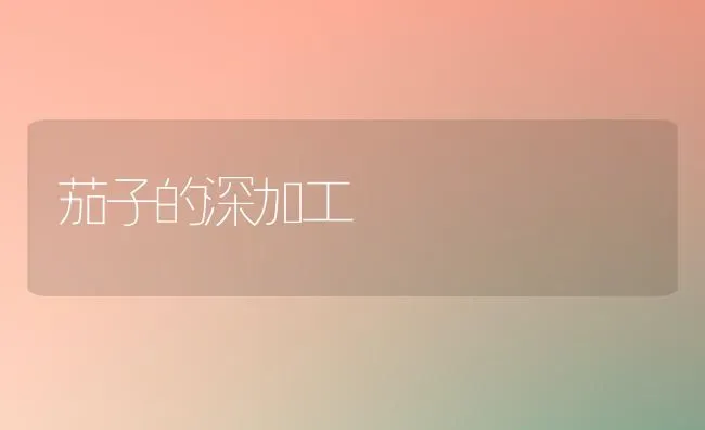 茄子的深加工 | 蔬菜种植
