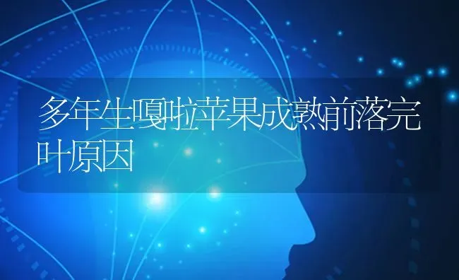 黄瓜增产有窍门 | 蔬菜种植
