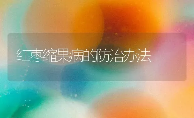 红枣缩果病的防治办法 | 瓜果种植
