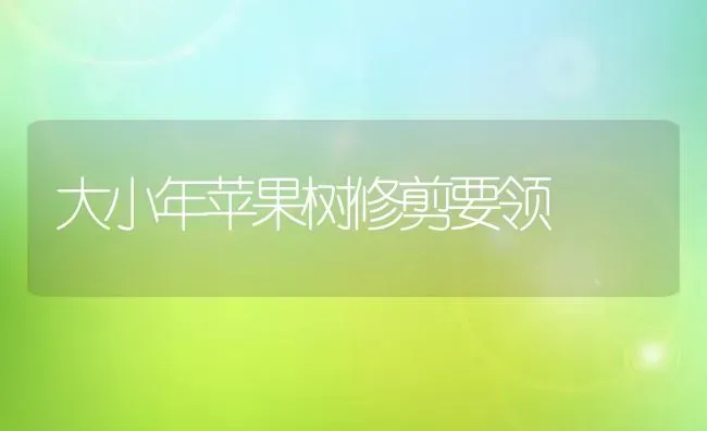 大小年苹果树修剪要领 | 瓜果种植