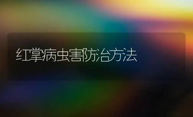 红掌病虫害防治方法 | 种植病虫害防治