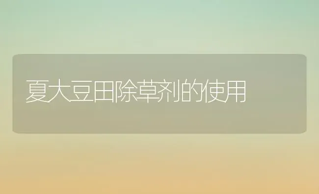 夏大豆田除草剂的使用 | 粮油作物种植