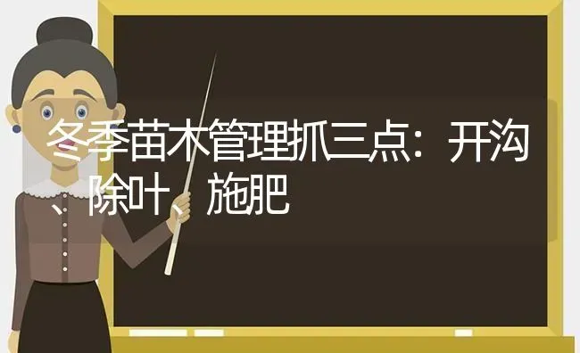 冬季苗木管理抓三点：开沟、除叶、施肥 | 种植肥料施肥