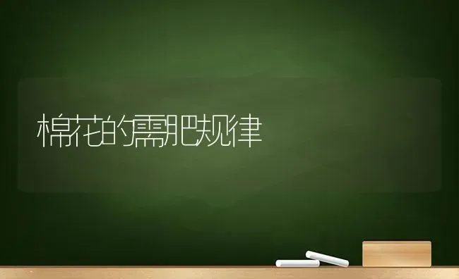 棉花的需肥规律 | 粮油作物种植