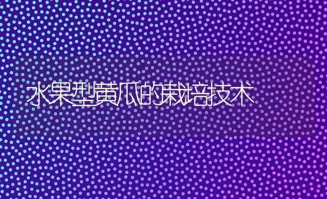 水果型黄瓜的栽培技术 | 瓜果种植