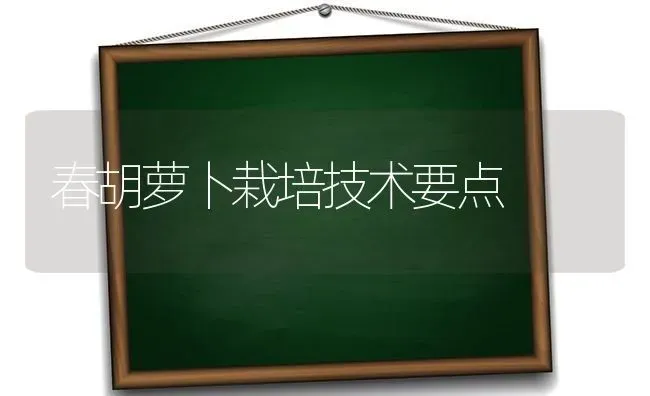 春胡萝卜栽培技术要点 | 蔬菜种植