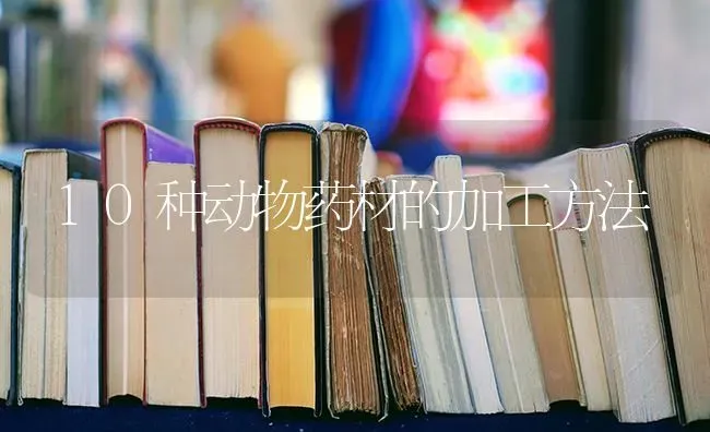 10种动物药材的加工方法 | 药材种植