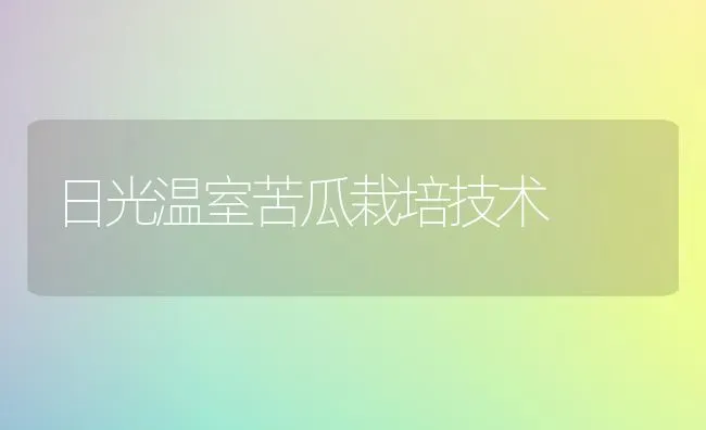 日光温室苦瓜栽培技术 | 蔬菜种植