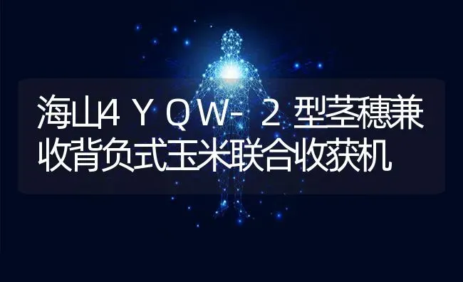 海山4YQW-2型茎穗兼收背负式玉米联合收获机 | 粮油作物种植