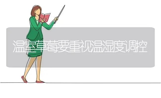 温室草莓要重视温湿度调控 | 瓜果种植
