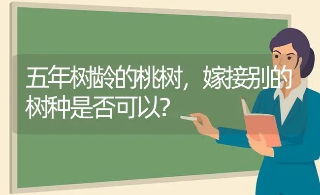 五年树龄的桃树，嫁接别的树种是否可以？ | 瓜果种植