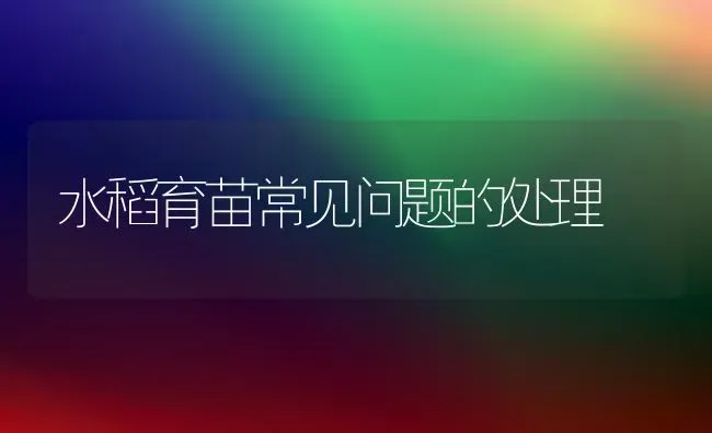 水稻育苗常见问题的处理 | 粮油作物种植