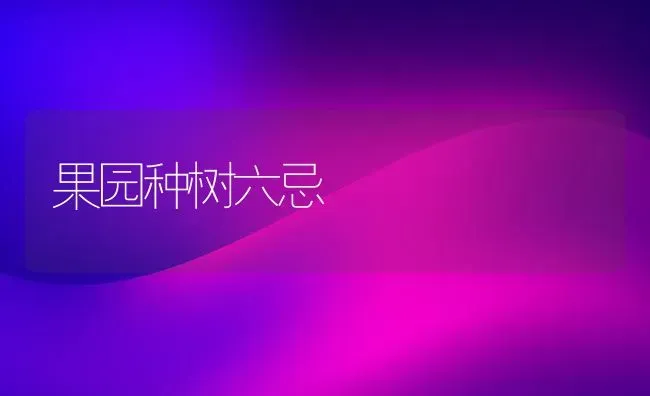 果园种树六忌 | 瓜果种植