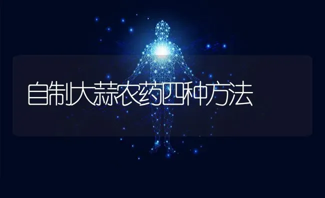 自制大蒜农药四种方法 | 种植病虫害防治