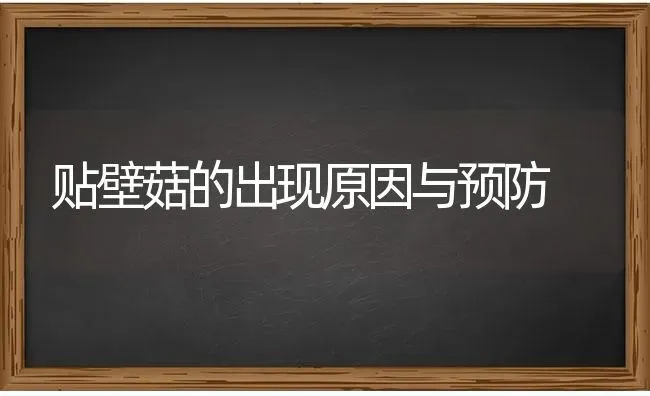 贴壁菇的出现原因与预防 | 食用菌种植