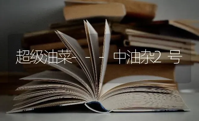 超级油菜---中油杂2号 | 粮油作物种植